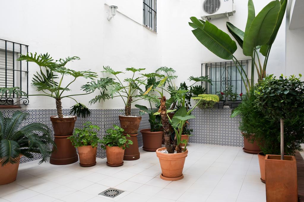 Urbanchicmalaga 3 Bedroom Spacious Quiet Historic Malaga Apt Exterior photo